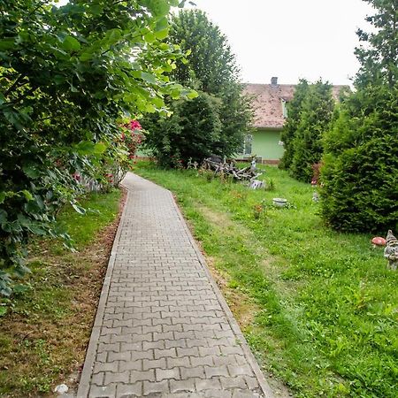 Hotel Marion Poiana Dumbraveni  Экстерьер фото