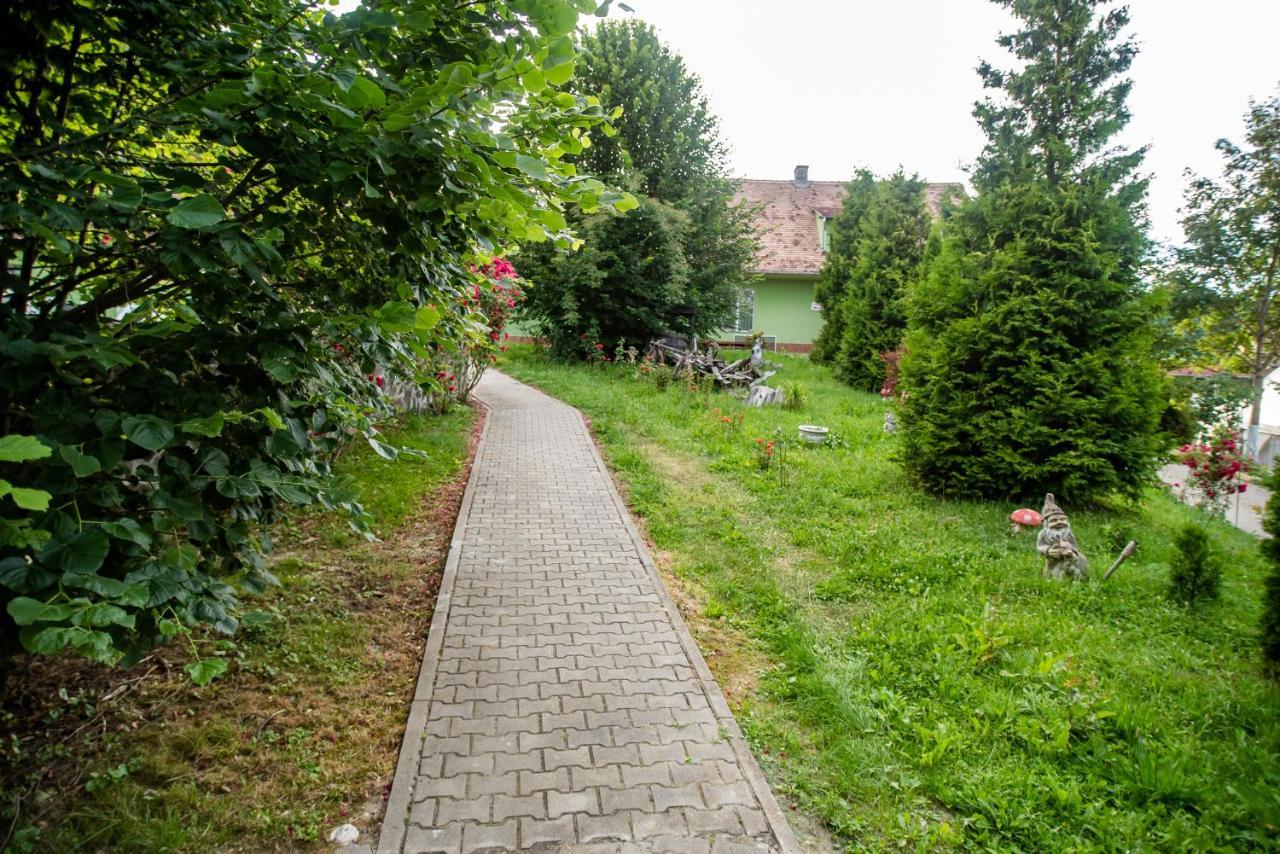 Hotel Marion Poiana Dumbraveni  Экстерьер фото