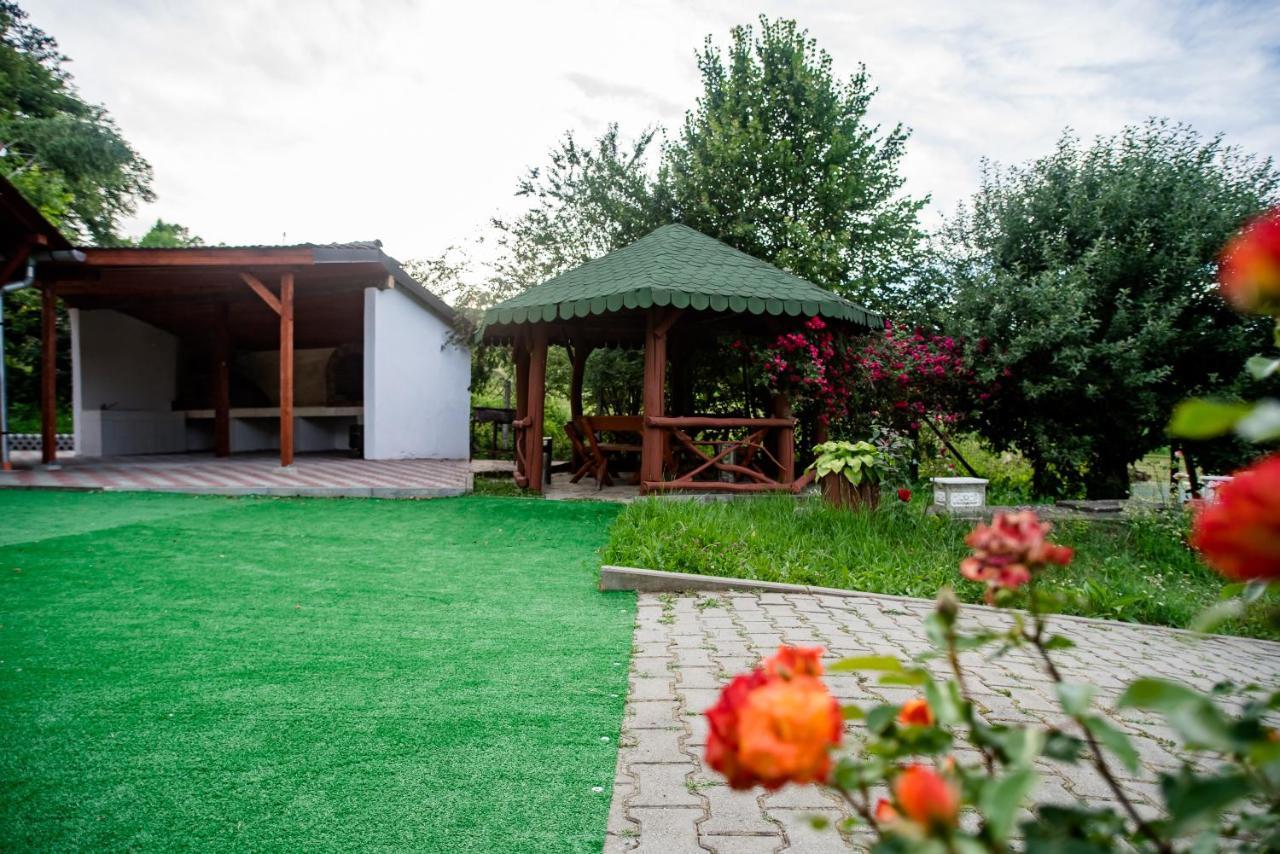Hotel Marion Poiana Dumbraveni  Экстерьер фото